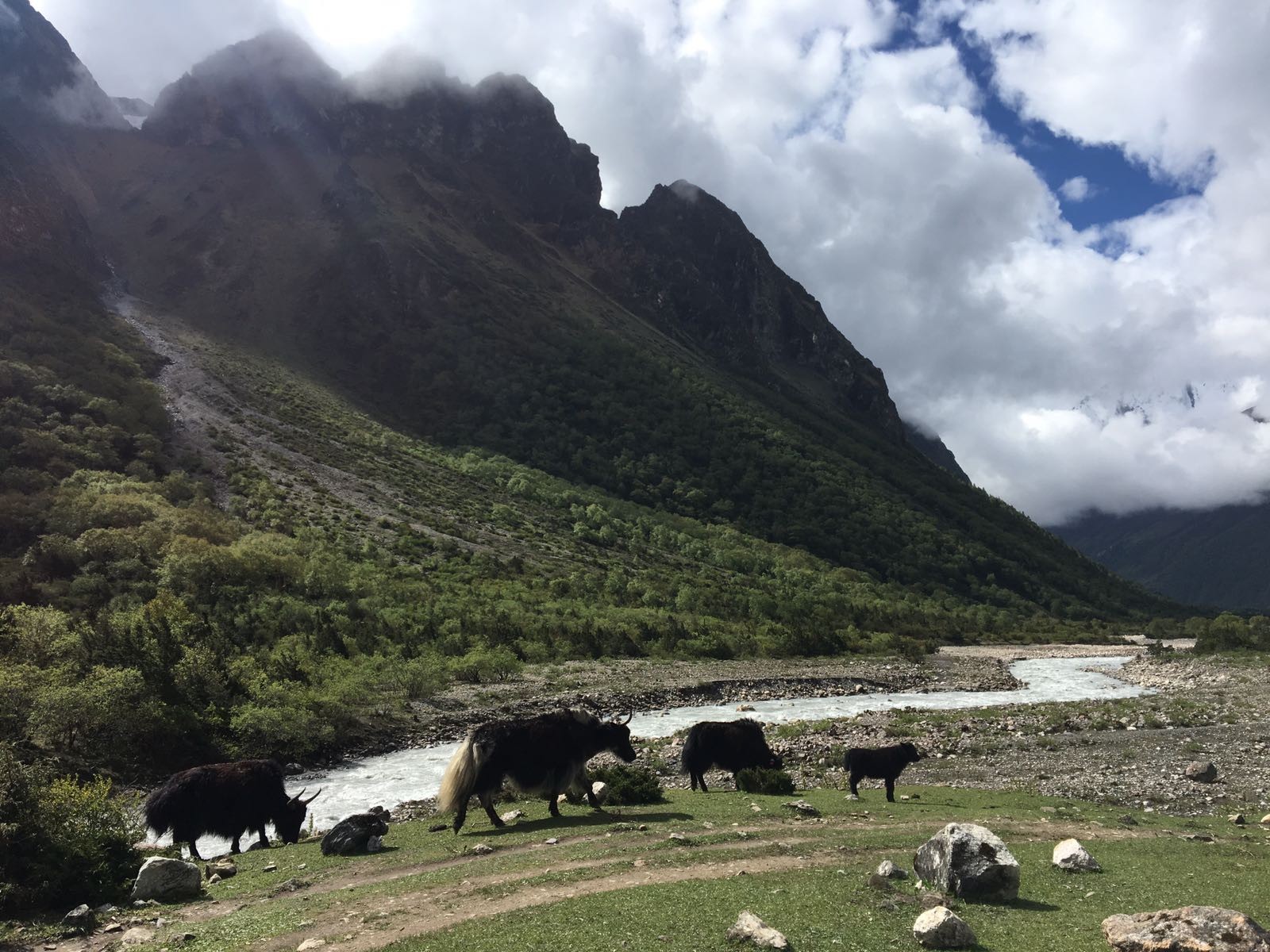 Manaslu Trek Information